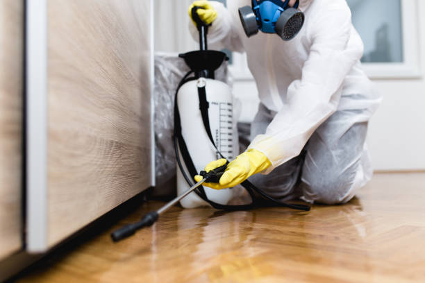 Best Rat Extermination Near Me  in North Charleston, SC