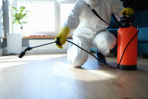 Best Flea Control Services  in North Charleston, SC