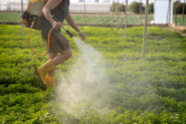 Best Affordable Pest Control Services  in North Charleston, SC