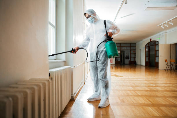 Best Termite Control Services  in North Charleston, SC